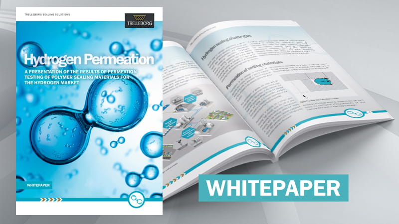 Hydrogen-Permeation-Whitepaper