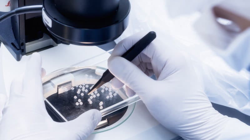 ProductOptimizationDesignFreeze