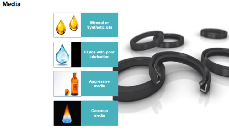 Radial Oil Seals