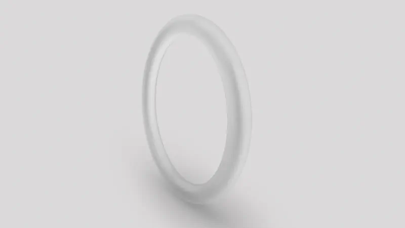 53_O-Ring_1