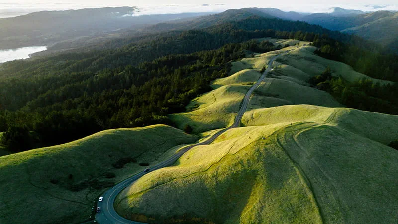 Discover how Sustainability is driving our innovation and value creation